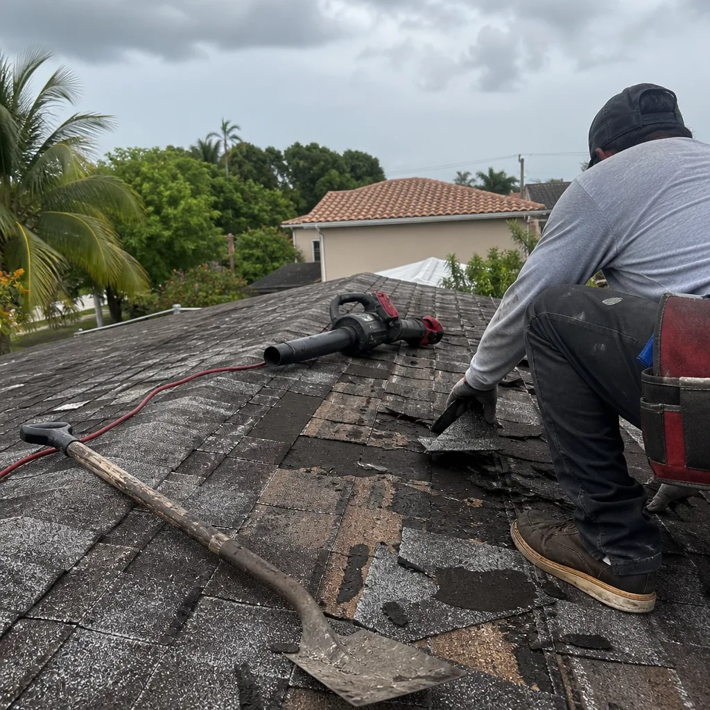 Before - Recent Project